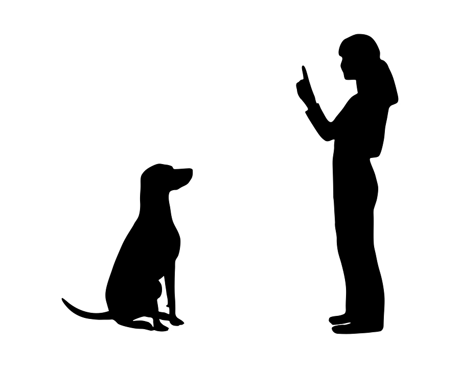 dog obedience clipart free - photo #12